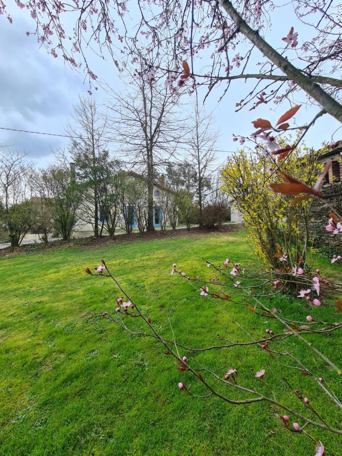 Le Terrier Maison De Campagne 250 M2 Grande Capacite 20 Couchages, 4500M2 De Terrain Villa Saint-Pierre-du-Chemin Exterior foto